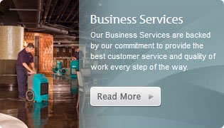 Business Services